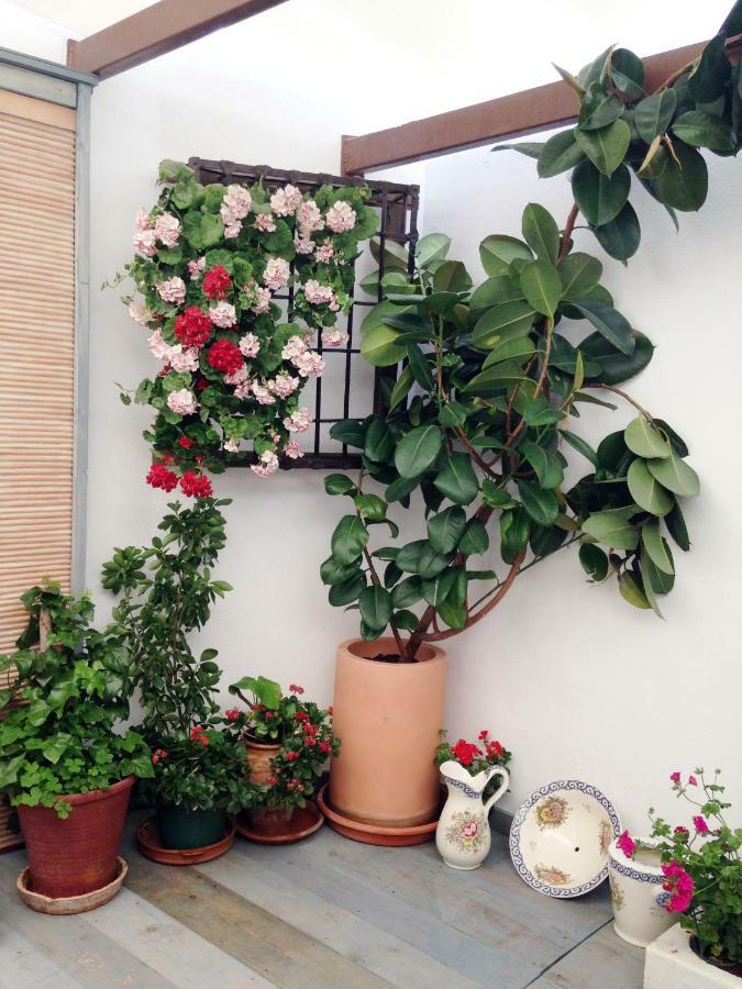 Patio San Lorenzo Cordoba Luaran gambar