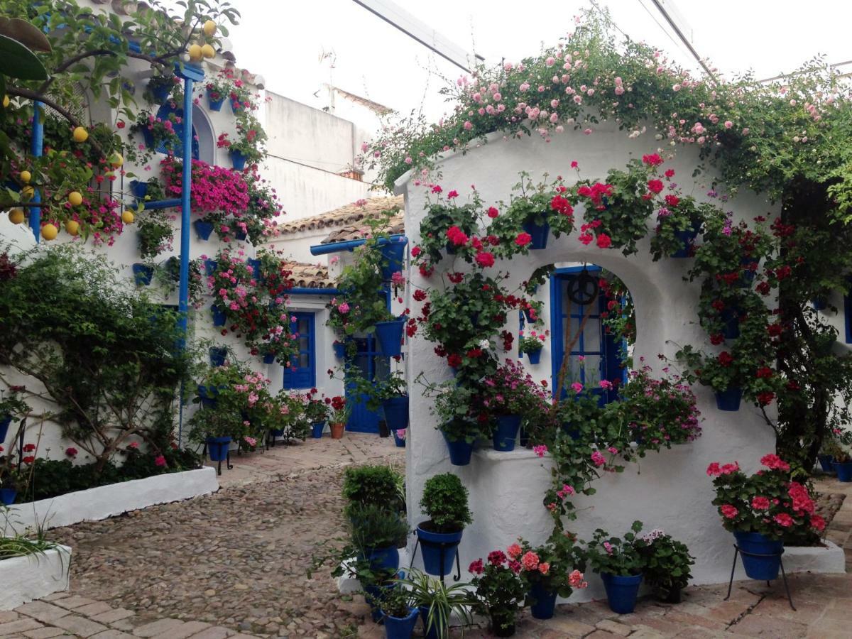 Patio San Lorenzo Cordoba Luaran gambar