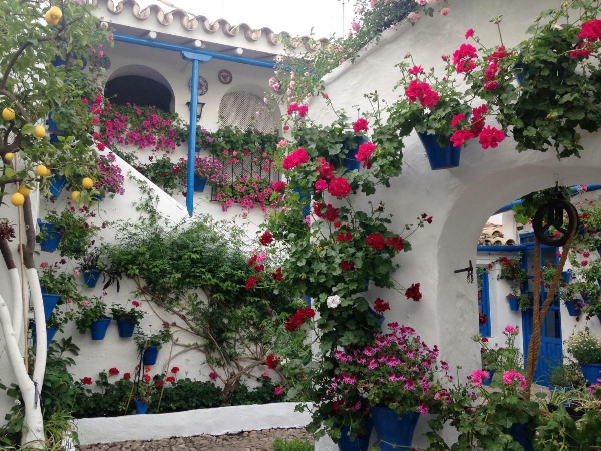Patio San Lorenzo Cordoba Luaran gambar